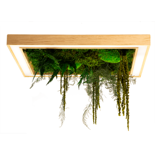 eclairage suspendu en bois chêne suspension deco LED